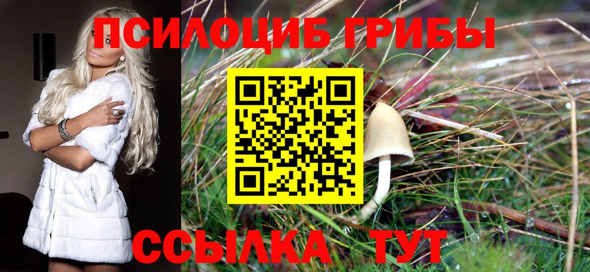 Валуйки  Псилоцибиновые грибы ЛСД  Вход с VPN  Галлюциногенные грибы MAGIC MUSHROOMS 